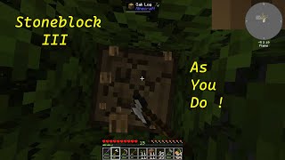 Stoneblock 3  As You Do [upl. by Lovash]