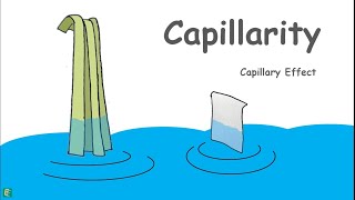 Capillary Rise in Soils [upl. by Dominique]