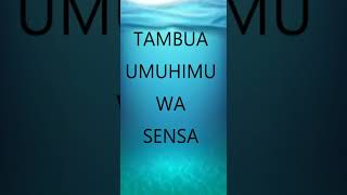 FAHAMU UMUHIMU WA SENSA NCHINI TANZANIA [upl. by Muryh]