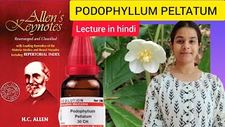 Podophyllum peltatum homeopathic medicine Allens keynotes materia medica in hindi [upl. by Ahsienor394]