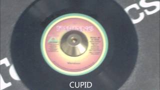 CUPID RIDDIM MIX September 2011 Megamix One Riddim Roots Reggae [upl. by Nawor406]