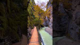 Would you like to travel here 📍 Aareschlucht Aare Gorge in Switzerland switzerland autumn [upl. by Nerred]