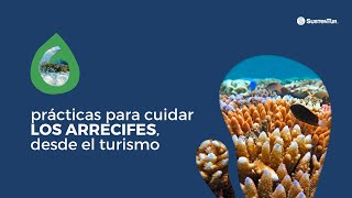 6 prácticas para cuidar los arrecifes desde el turismo [upl. by Tobye]