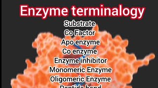 Enzyme Terminalogy [upl. by Ayotahs459]