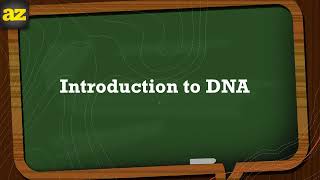 Introduction to DNA شرح بالعربي [upl. by Nairrad]