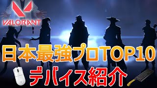 VALORANT日本最強プロTOP10の使用デバイスを紹介 [upl. by Ailerua914]