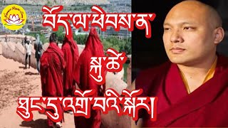 HH Karmapas speech if go to Tibet then reduce the age rumtekkarmaekhenpo karmapa rinpoche [upl. by Bratton]