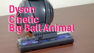 Dyson Cinetic Big Ball Animal Upright Vacuum [upl. by Akcired355]