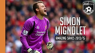 Simon Mignolet Amazing Saves HD  20132015 [upl. by Ettesel557]