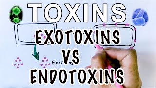 Overview of Toxins  Exotoxins Vs Endotoxins [upl. by Iatnwahs]