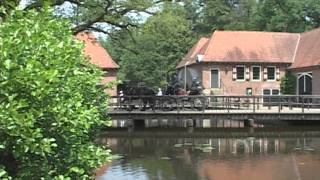 KOETSENKEERLS 2011mp4 [upl. by Ailadi]