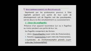 Faunistique  PROTOZOAIRES  شرح مفصل بالفرنسية و العربية [upl. by Icyaj]