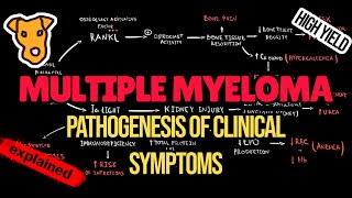 MULTIPLE MYELOMA Pathogenesis of Clinical Symptoms CRAB criteria Amyloidosis Immunodeficiency [upl. by Hayouqes]