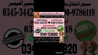 Army Dog Center  narowal kharian gujranwala sheikhupura faislabad hafizabad khushab layyah [upl. by Aicenaj]