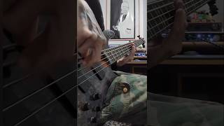 Ne Obliviscaris  Intra Venus Bass solo [upl. by Narba]