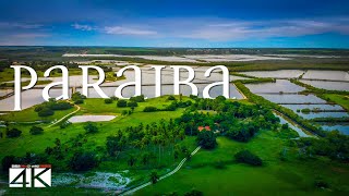 【4K】The Nature of Paraiba from Above  BRAZIL 2020  Cinematic Wolf Aerial™ Drone Film [upl. by Aicatsanna]