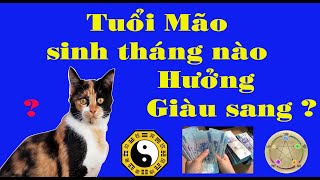 Tuổi Mão sinh vào tháng nào Được hưởng cuộc sống giàu sang thịnh vượng và hạnh phúc [upl. by Simone]