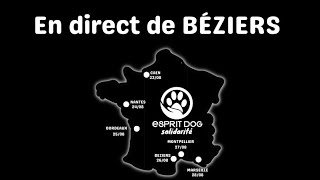 Esprit Dog Solidarité  BÉZIERS [upl. by Oiramal]