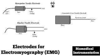 Electrodes for Electromyogram EMG  Biomedical Instrumentation and Measurement [upl. by Ahsiened]