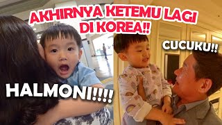 AKHIRNYA KETEMU HALMONI ampHARABOJI DI KOREA GAK MAU PISAH LAGI🥰 [upl. by Ceevah]