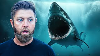 I Went Diving For Megalodon Teeth 0ft Visibility [upl. by Haland661]