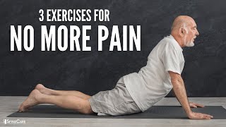 The 3 Best Back Exercises For NO MORE PAIN [upl. by Oirazan]