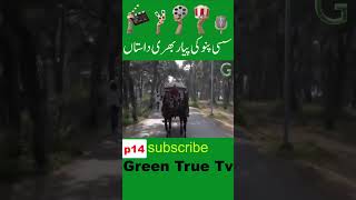 Sassi Punnu true love story  سسی پنو کی پیار بھری سچی داستان  part 14 for shorts video [upl. by Aonehc]