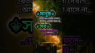 মানুষ যতটা sad lovesongs [upl. by Ainadi994]