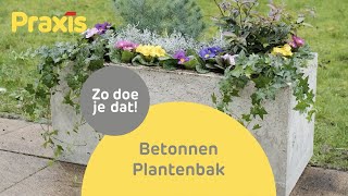 Betonnen plantenbak maken  zo doe je dat zelf  Praxis [upl. by Edlun651]