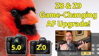 Nikon Z8 amp Z9 Game Changing AF Update  And How To Use It [upl. by Celene]