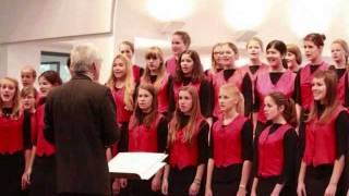 Ulmer Spatzen Chor  Dodi Li [upl. by Asela]