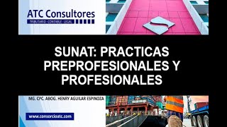 SUNAT PRACTICAS PROFESIONALES Y PREPROFESIONALES [upl. by Benedikt]