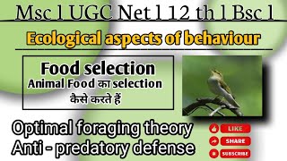 Ecological aspects of behaviour  Food selection optimal foraging theory in msc zoology Hindi notes [upl. by Amikahs]