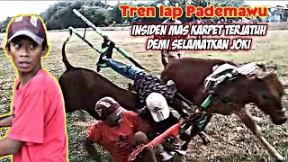 Tren lap Pademawu  Tragedi Mas Karpet Terjatuh Demi Selamatkan Joki Kerapan Sapi [upl. by Mastat913]