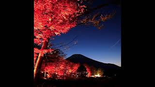 Soundtrack Mt Fuji featuring EG Lake Yamanaka Illuminated Leaves  富士山 山中湖ライトアップ紅葉 EGサウンドトラック [upl. by Yahsed723]