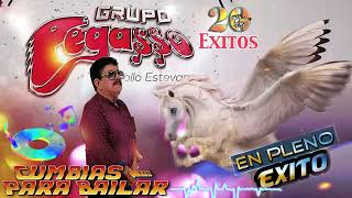 GRANDES CANCIONES EXITOSAS DEL GRUPO PEGASSO 💖 CUMBIAS PARA BAILR [upl. by Mandell]