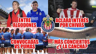 CANELO HABLA DEL INTERÉS POR CHIVAS LICHA Y VEGA CON LESIONES [upl. by Notxap443]