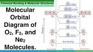 Molecular Orbital Diagram of O2 F2 and Ne2 Molecules [upl. by Chapen]