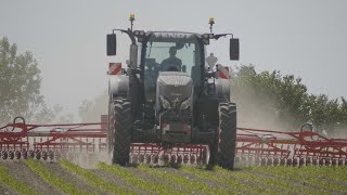 ROTATIVE weeder  Rotoétrille 12m Einböck à l’ETA JAMES 🇫🇷 [upl. by Kallman588]