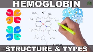 Heme synthesis  Biochemistry  NEET PG  By Dr Amit Maheshwari [upl. by Heiskell]