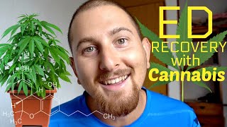 Using Cannabis for Eating Disorder Recovery [upl. by Danita279]