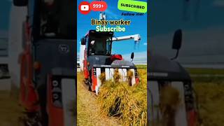 daedong combine harvester🌾🌾viralyoutubeshortvideokubotatractorkubotaytshortstrendingshorts [upl. by Fatma284]