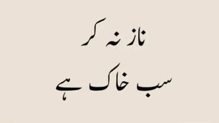 Hazrat Ali quotes Urdu Islamic Quotes  Best Quotes About Life  True lines  Motivational Quotes [upl. by Adekan]