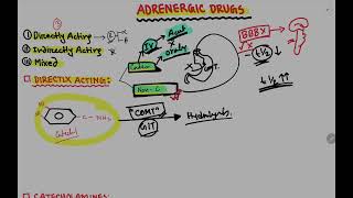 Adrenergic Drugs  Part 1  sympathomimetic drugs  Catecholamines  Autonomic Pharmacology  Bangla [upl. by Eintruoc]