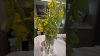 Yellow wild flowers from our yard🌾 florida rurallife wildflowers ideasdecoration rvliving [upl. by Attelrac]