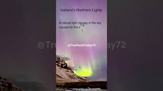 Experience the MAGIC of Icelands Northern Lights shorts [upl. by Ferriter]