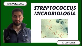 STREPTOCOCCUS PYOGENES AGALACTIAE DYSGALACTIAE VIRIDANS PNEUMONIAE  MICROBIOLOGÍA [upl. by Corrie]