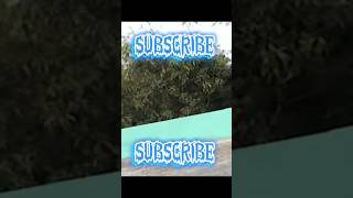 M3 Max drone camera test drone shorts trendingshorts viralshorts music song coolvideo [upl. by Maybelle]