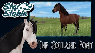 SSO  The Gotland Pony  All Animations Colors Manes Stats and Price released [upl. by Vel]