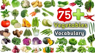 Vegetables Vocabulary ll 75 Vegetables Name in English ll List of Vegetables [upl. by Apfelstadt]